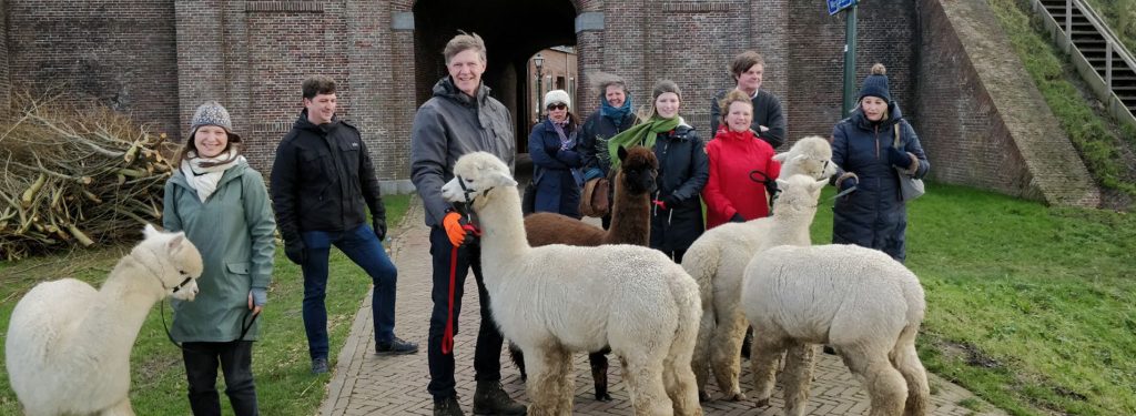 Alpaca-World-Brielle fokkerij raszuivere Alpaca's.